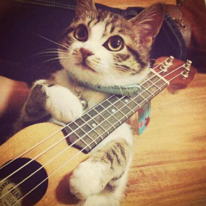 刘涛奶罩掉落露出奶头
