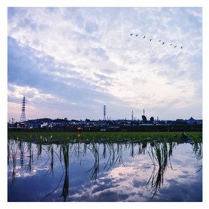 刘涛奶罩掉落露出奶头
